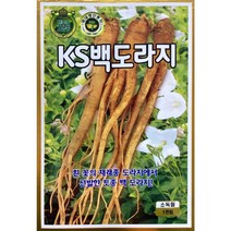 KS백도라지씨앗 1천립