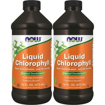 Now 나우 액상 클로로필 고농축 엽록소 473ml 2팩