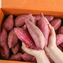 [농부마음] 품질인증 햇 꿀 밤고구마 세척고구마, 10kg(중품), 1box
