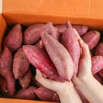 [농부마음] 리뷰11000건 품질인증 22년 햇 꿀 밤고구마 세척고구마, 5kg(긴특/긴상), 1box