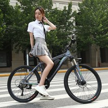 산악 전동변속 자전거 리튬전지36V13AH 주행거리 60KM 전기 자전거, 그레이