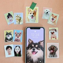 [1+1] 반려동물 증명사진 스티커 보정파일 무료제공, 4컷세트(4.5*6) 인화지, 직접자를게요, 괜찮아요(단품)