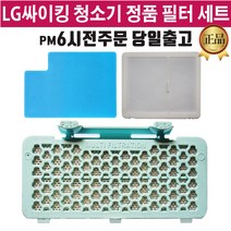 LG정품 싸이킹 진공 청소기 필터 3종 세트(즐라이프거울 증정)