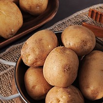 감자 수확중 수미햇감자 맛있는 감자 5kg 10kg, 【햇수미감자】10kg(대/찜용/계란크기 80~110g)