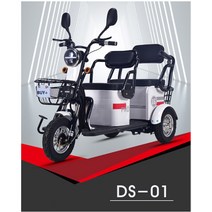 MARSHIC 전동삼륜차 3륜오토바이 전동오토바이 DS-01 공장직영, 13납전지, 레드