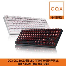 COX CK250 교체축 LED 기계식 게이밍 텐키리스 키보드 블랙/화이트 (청축 적축 갈축) 공식판매점, 블랙, 청축