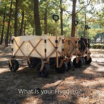 [휘게로] 초경량 감성 캠핑 트레일러 웨건, 본품 6.8kg, 모던 블랙, 1개