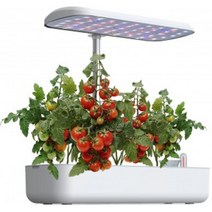 이지식물 가정용 LED 식물재배기 스마트 팜 홈가드닝 수경재배 채소 키우기, 3구