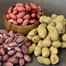 쪄먹는 햇 자색땅콩 2kg, 1개