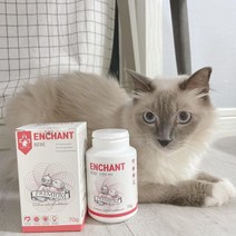인챈트베베 어린 반려동물 기능성 영양제 성장촉진 면역력 강아지 고양이 모두 급여 가능