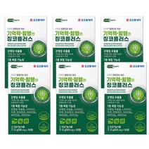 코오롱제약 간편한 혈행 건강 개선 두뇌 기억력 혈행엔 징코플러스 비타민B군 500mg 30정, 6개