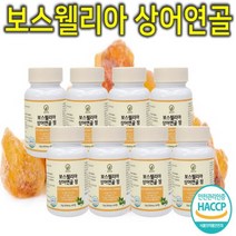 프리미엄 보스웰리아 보스웰릭산 상어연골 보수엘리아 보수웰리아 이병헌 정우성 여성 관절 연골 무릎 뼈 건강 해조 칼슘 영양제 보조제 개선제 칼슘제 추출 분말 가루 캡슐 정 환 8통