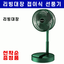 (주문폭주 당일출고) 1+1 다용도 접이식 선풍기 휴대용 캠핑용 차량용 탁삭용 USB 충전식, 그린*1개 (1+1 아님, 1개만 발송!!)