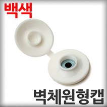 벽체원형캡 백색 100개 직결나사캡 판넬벽체캡 육각머리나사캡 판넬용원형캡 샌드위치판넬 조립식판넬 패널