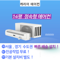 캐리어 CS-A142NW 14평 벽걸이 냉방기 에어컨 서울 경기 빠른 설치 가정용 원룸 사무실 기본설치비 별도 이전 재설치