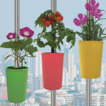 수직기둥걸이 화분, 노란색