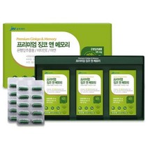프리미엄 징코 앤 메모리 두뇌 인지력 기억력 영양제 손발저림 혈행개선 수험생 청소년 갱년기 60대 70대 기억력 집중력 은행잎추출물 혈액순환, 90캡슐(3개월) x 7개