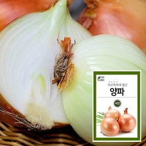 마이플랜트 양파 씨앗 채초 야채 텃밭