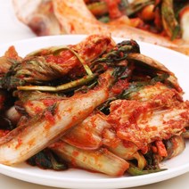 전라도 얼갈이김치 3kg 허니데이 겉절이 단배추 김치