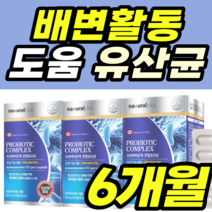 배변활동 도움 유산균 항산패 캡슐 락토바실러스 남자 여자 건강식품 건강식품 락토바실러스 rgg lgg 정품 가격 추천 장적착 장밀착 플란타럼 람노서스 가세리 루테리 남성 여성