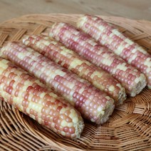 커널옥수수 프리미엄 옥수수 30개 무첨가 삶은 찐 냉동, 홍찰작은30개