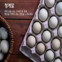 [충북음성] 알부자 청계 유정란 무항생제 농산직송 20구 / 40구