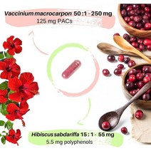 프랑스직구 유리트랙틴 미국 크랜베리 농축액 추출물 12500mg (125mg PAC) + 히비스커스 플라워 825mg (5.5mg 폴리페놀) 퍼 소프트겔 소프트겔 120개 4개월 공급 비건, 수량, 상세참조