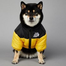 2023 SUPREPET패딩 개 겨울 옷 따뜻한 방풍 솔리드 코트 코튼 디자이너 대형 강아지 액세서리, YELLOW+XL
