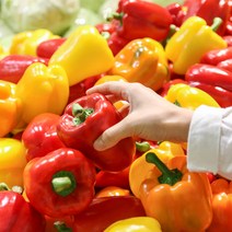 국내산 파프리카 빨강 노랑 혼합 못난이 가정용 특품 1kg 3kg 5kg, (노랑파프리카)1kg, 1개