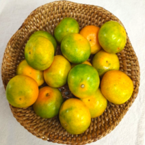 국산 산지직송 고당도 제주황금향 감귤 가정용 선물용3kg 5kg, 5kg(가정용)