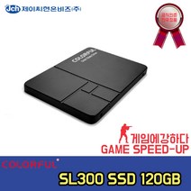 엠지컴/Colorful SL300 아이보라 (120GB)
