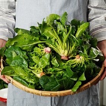 비금도 시금치 1kg, 단품