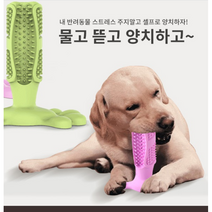 강아지 이빨닦기 양치방법 새끼강아지 개칫솔 반려견치아 입냄새 애견칫솔 실리콘칫솔, 그린