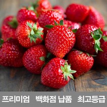 [ClDS-212]영화청과 국내산 딸기 1kg 프리미엄 백화점 납품 제철 농장 설향 청, 본상품