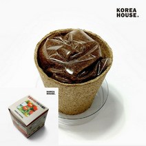 TYDL 방울토마토 키우기세트