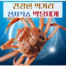 [예님푸드] 제철수산물 구룡포 산지직송 박달대게 소 2마리(생물), 단품