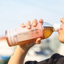 순수무수 현미무차 음료 2+1 구수한 무말랭이차 무차 소화잘되는차 건강차 500ml*60병, 500ml, 60개
