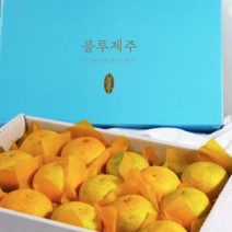 제주직송 만감류 고당도 제주귤 달달한 황금향 선물용 2.5kg 4.5kg 구성, 선물용 대(4.5kg 19~25과), 1개
