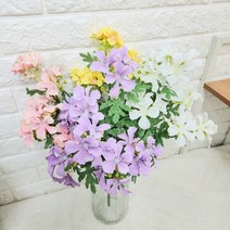 로즈제라늄다발, 화이트