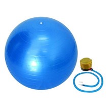 짐볼 PVC 요가 필라테스 볼 55cm 두꺼운 헬스장 운동용 펌프 포함, Blue, 01 Blue