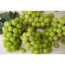노크팜 고당도 프리미엄 샤인머스켓 가정용 추석 명절 선물 수출용 망고포도, 4kg(특품), 1개