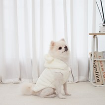 곰돌이 강아지후리스 집업 (크림/레몬버터/라벤더), 크림