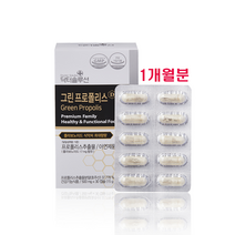 수용성 그린 프로폴리스 아르테필린C 플라보노이드 항염 항산화 천연항생제 면역 균형 자가면역 면역력