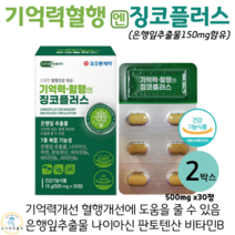기억력 혈행 징코플러스 은행잎추출물 나이아신 아연 판토텐산 징코 식약처인증, 30정, 500mg, 2박스