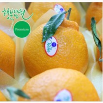 프리미엄 서귀포 효돈농협 다우렁 행복담원 고당도 한라봉 3kg, 1개, 3kg(9~10과)