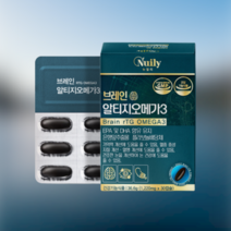 뉴일리 징코알티지 오메가3 1박스