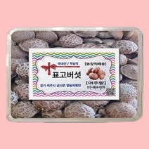 생 파지 못난이 한입 1kg 배지 분말