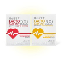 간편하게 들고 다닐 수 있는 캠핑용 스틱 소금 LACTO GABA SALT 300 with Postbiotics & Probiotics(락토가바솔트300 생락토가바솔트300), 락토가바솔트300(레드), 45g, 1개