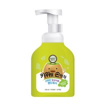 해피바스 키위랑 손씻자 버블 핸드워시 250ml, 단품, 단품