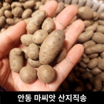 참마5kg산마 TOP 제품 비교
